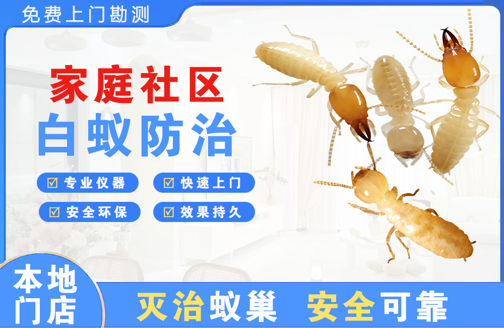 什邡家庭社区白蚁防治