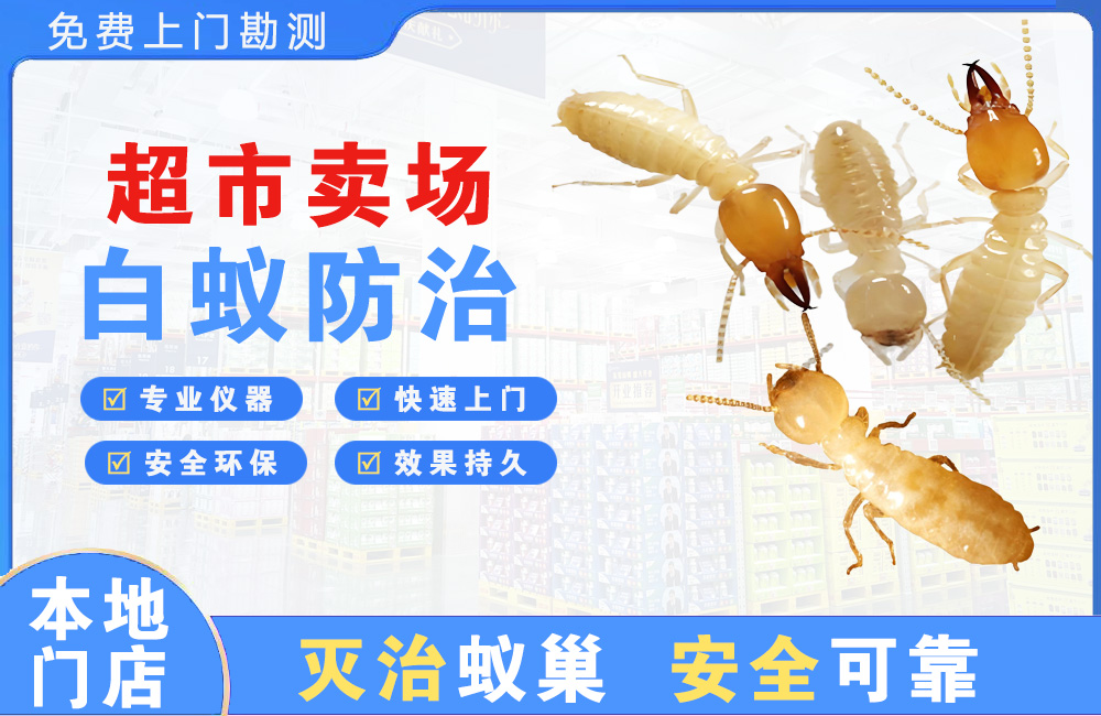 什邡超市卖场白蚁防治