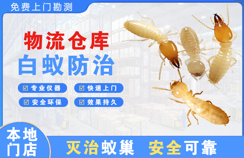 什邡物流仓库白蚁防治
