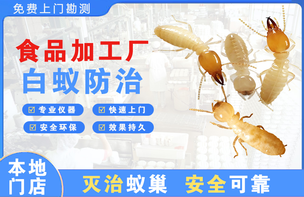什邡食品加工厂白蚁防治