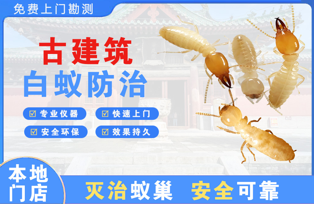 什邡古建筑白蚁防治