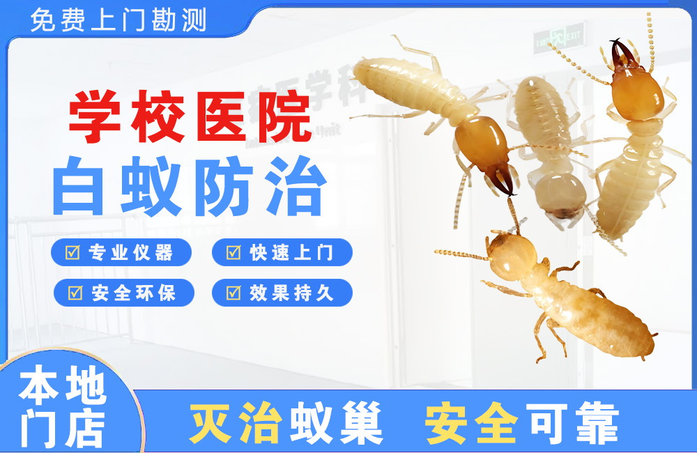 什邡学校医院白蚁防治