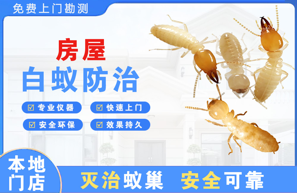什邡房屋白蚁防治
