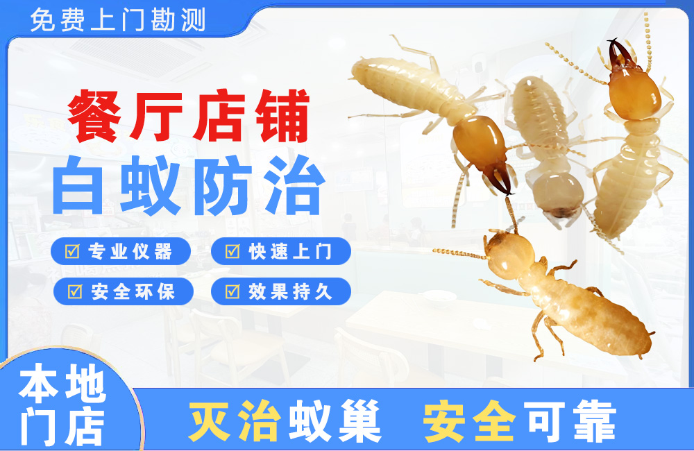 什邡餐厅店铺白蚁防治